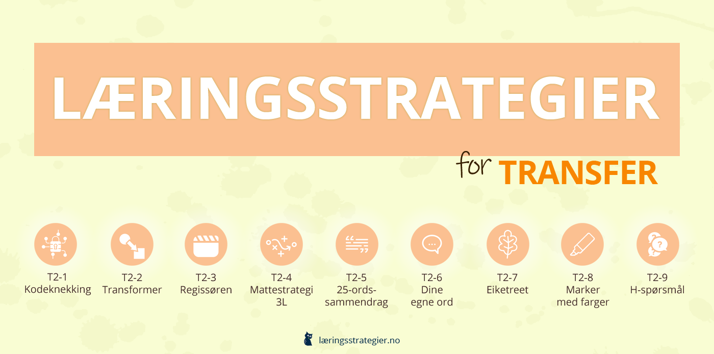 Læringsstrategier for RTTI T2: Transfer